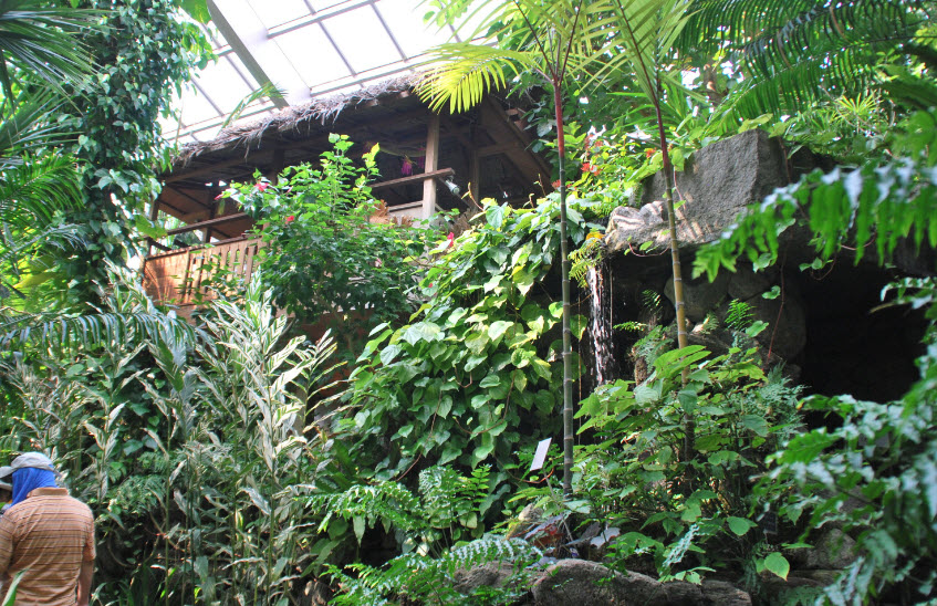 Itabashi Botanical Garden, Japan
